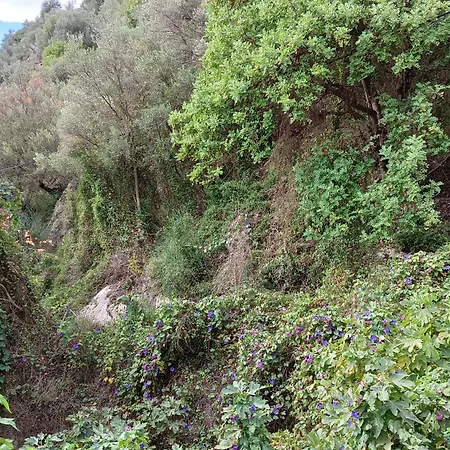 La Fuente Alcaucin