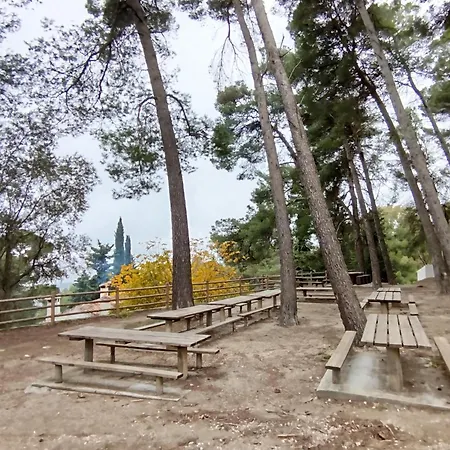 La Fuente